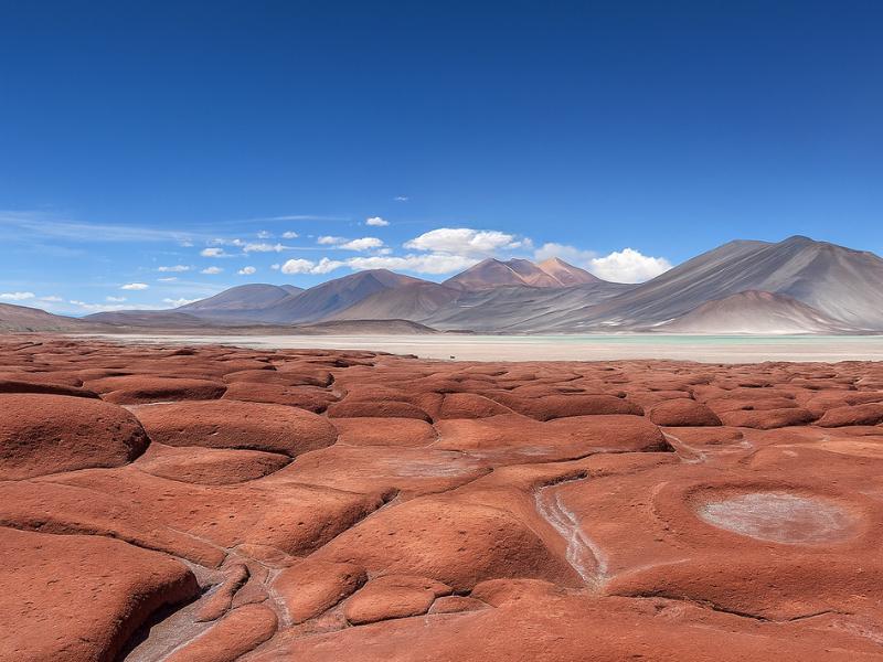 our tour to Piedras Rojas Atacama