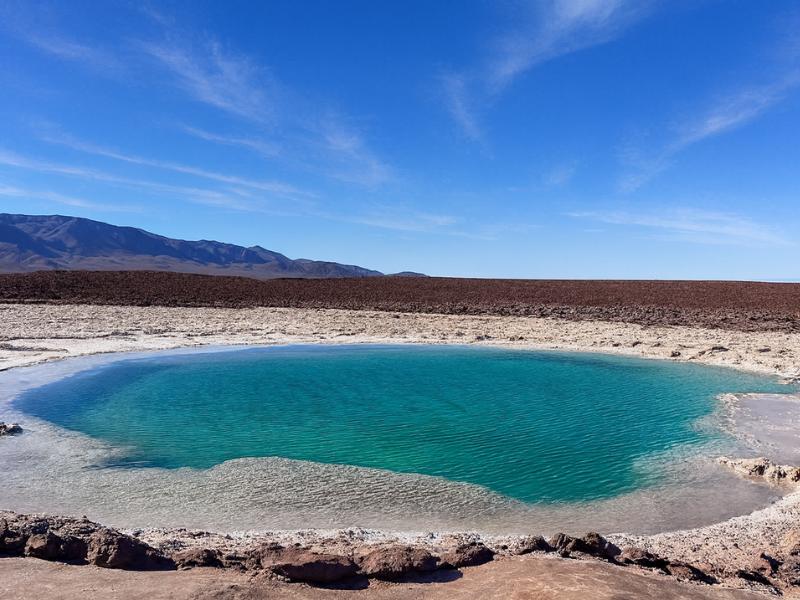 tour from San Pedro Atacama to Baltinache Lagoons